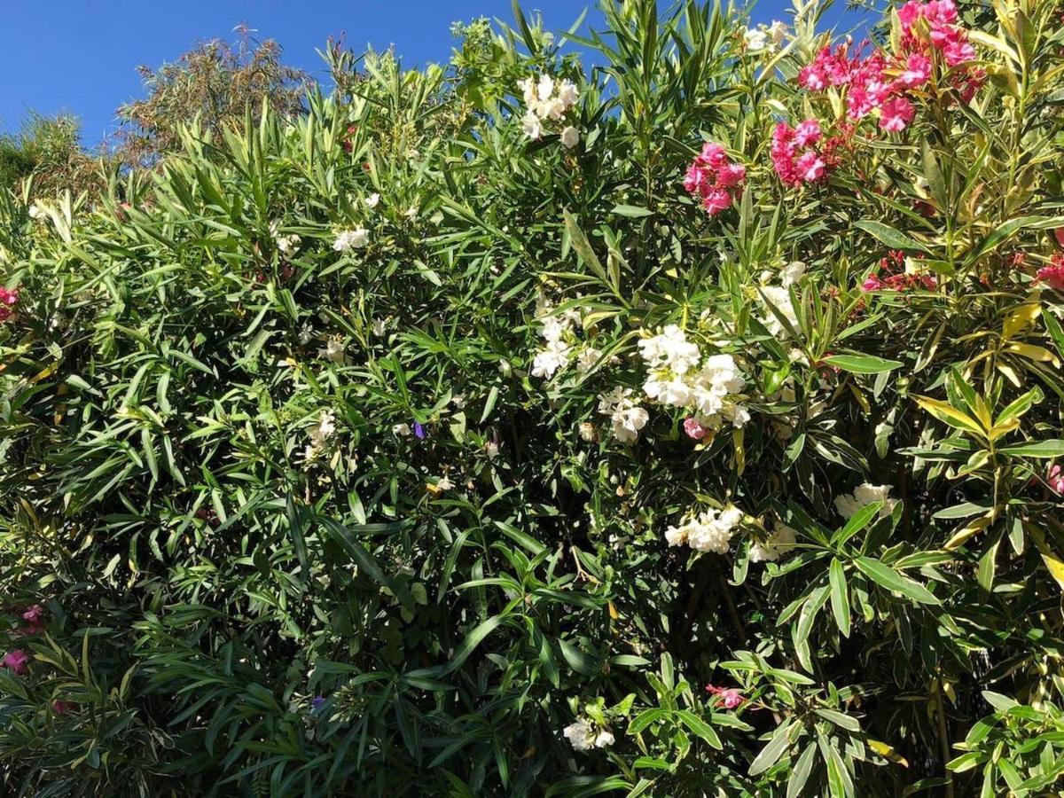 Lovely 2 Bed Apartment In Alcalalí エクステリア 写真