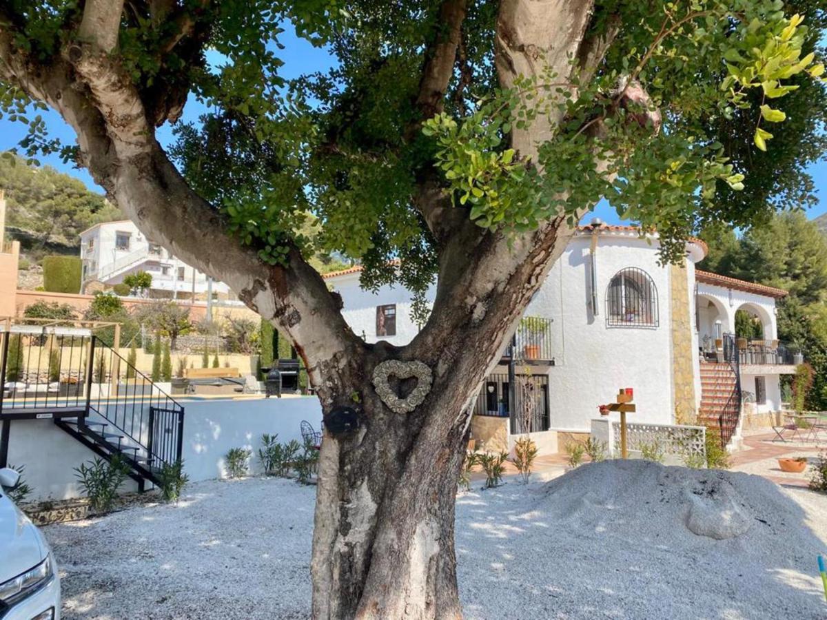 Lovely 2 Bed Apartment In Alcalalí エクステリア 写真