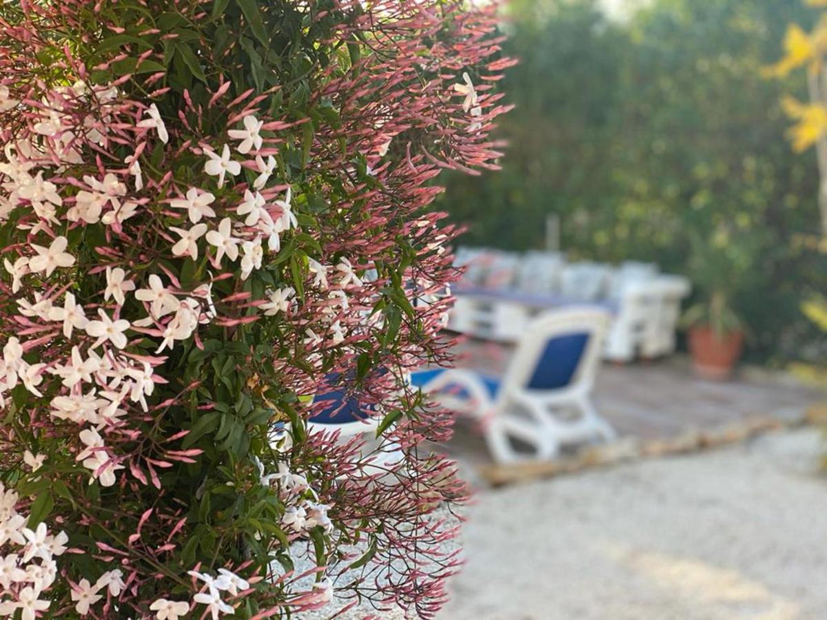 Lovely 2 Bed Apartment In Alcalalí エクステリア 写真