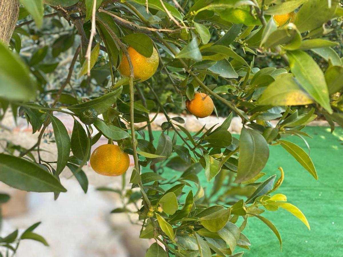 Lovely 2 Bed Apartment In Alcalalí エクステリア 写真